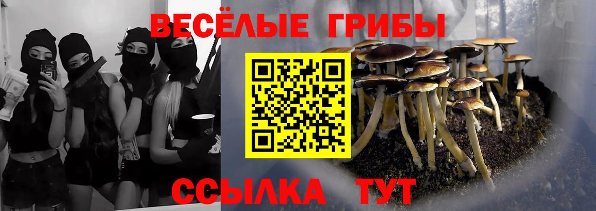 Учалы  наркота  Вход с VPN  Псилоцибиновые грибы ЛСД  Галлюциногенные грибы Cubensis 